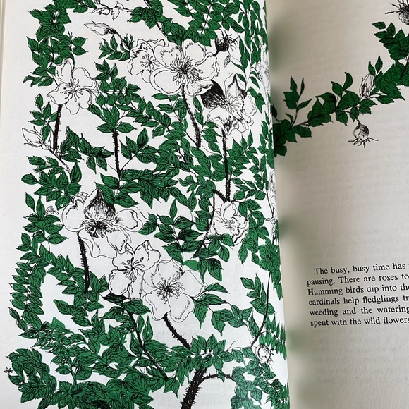 Around the Garden Week by Week, A Guide to Garden Planning... by Joan Lee Faust - Picture 11 of 16